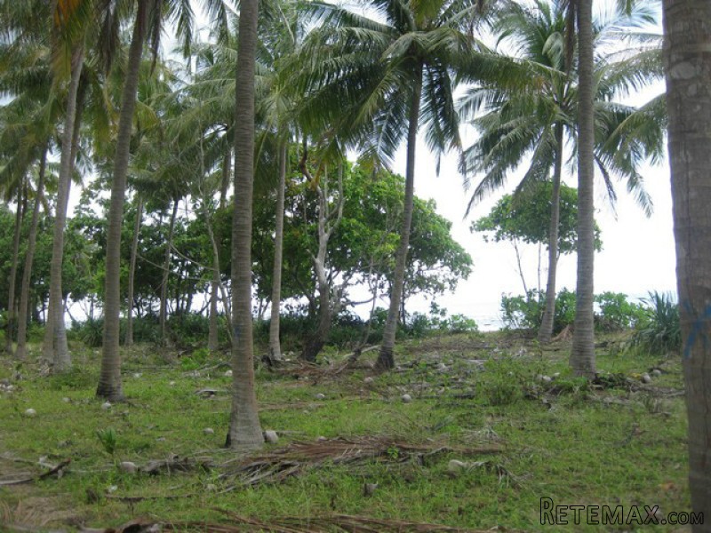 Koh Lanta - 23 Rai Beachfront Land with.. - 2