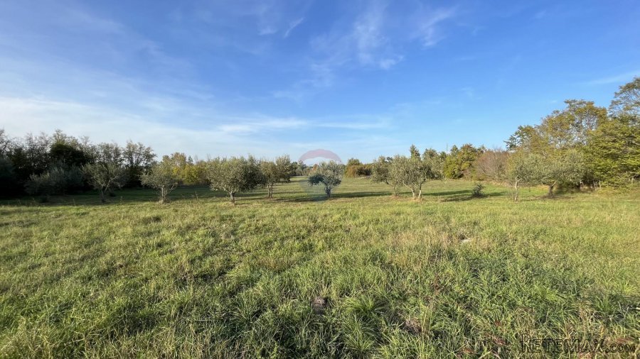 Vrsar - okolica, poljoprivredno zemljište uz prometnicu - 2