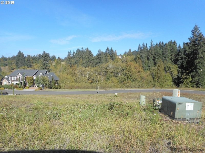 720 S 19TH PL, Ridgefield, Washington.. - 2