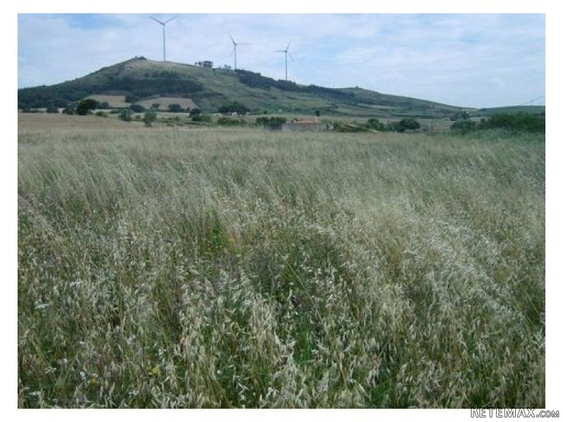 Land , Sobral de Monte Agraco - 2