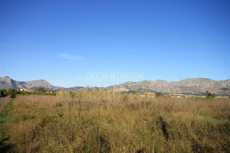 Plot In Pedreguer