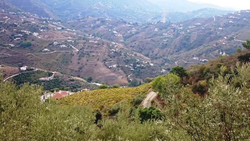 Rural land for Sale in Competa, Competa..