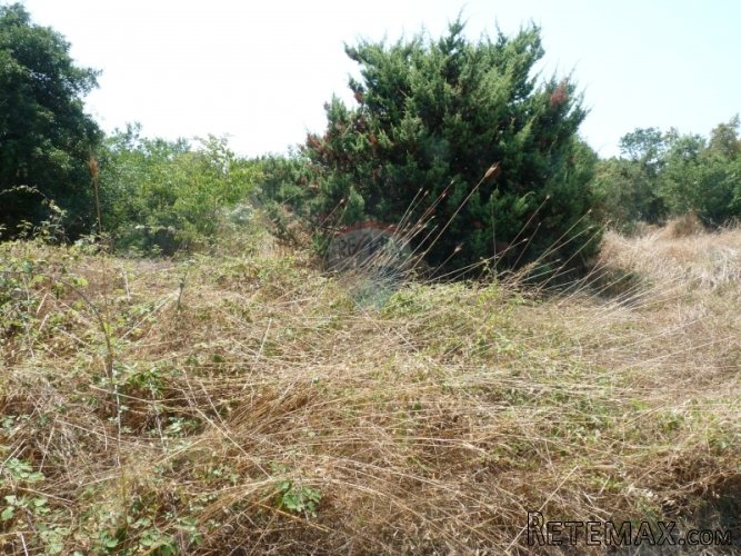 LOBORIKA, poljoprivredna parcela od 5440 m2 - 5