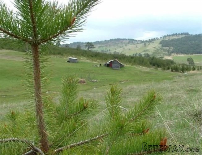 Zlatiborski Dukat-zemljiste,investicija-Čigota - 12