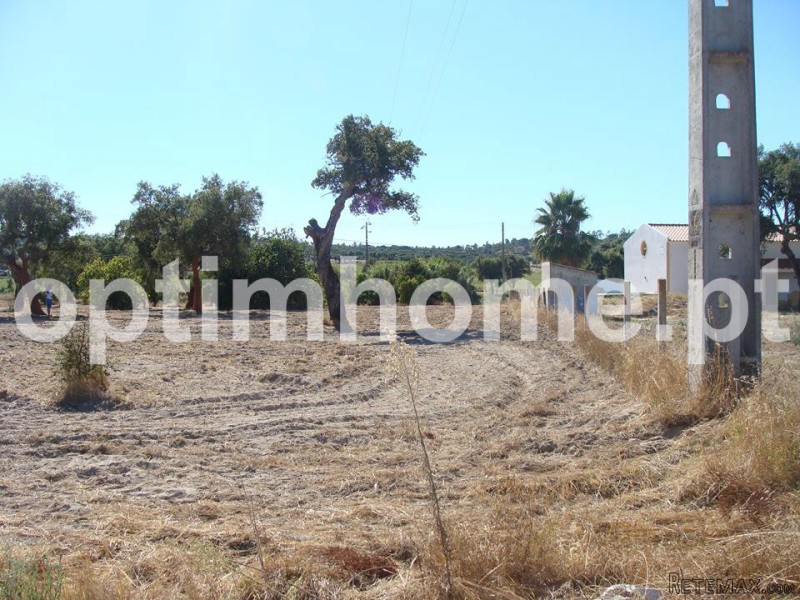 Farm For Sale - Santarem