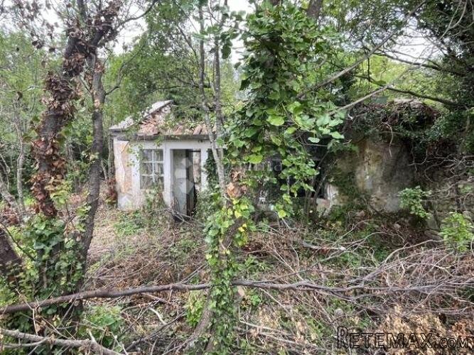 Ruševna starina u crikveničkom zaleđu - 3