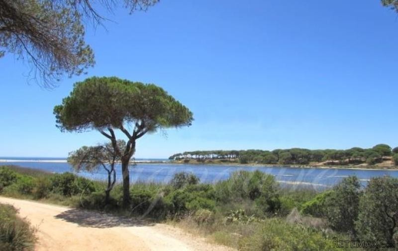 Plot For Sale: Fonte Santa, Loule..