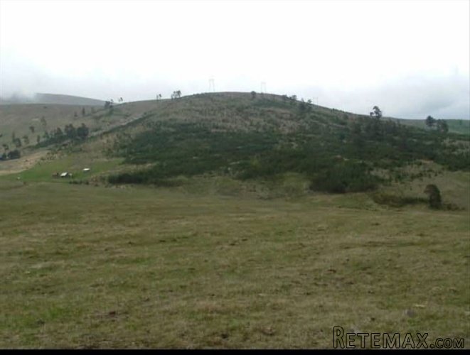 Zlatiborski Dukat-zemljiste,investicija-Čigota - 15