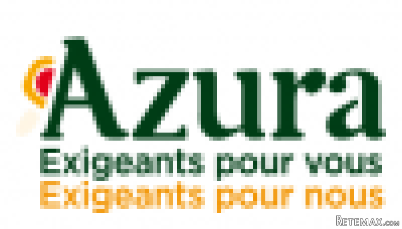 Adjoint Responsable Transit Import/..