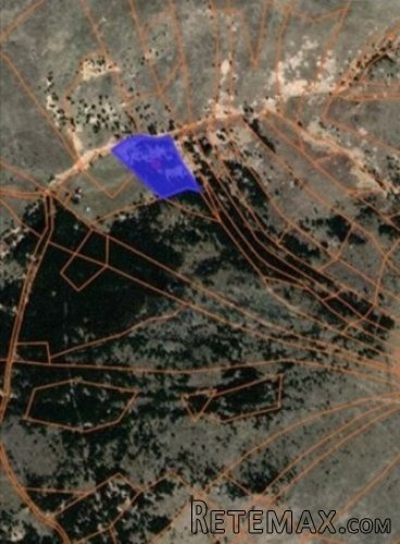 Zlatiborski Dukat-zemljiste,investicija-Čigota - 18