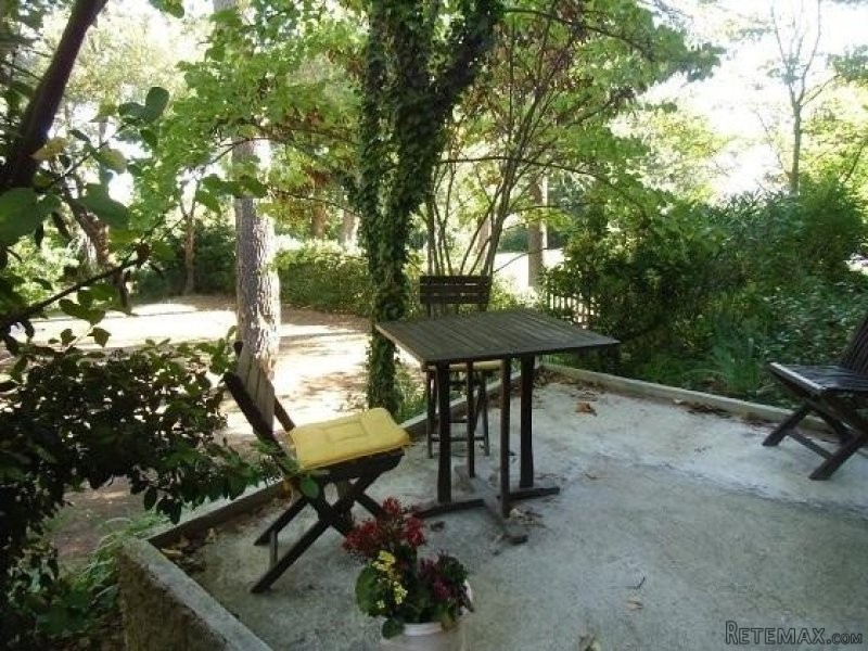 Furnished Cottage Among 12 Other Small.. - 2