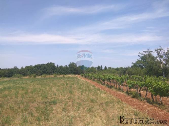 Istra, Kanfanar- građevinsko zemljište 3160m2 - 3