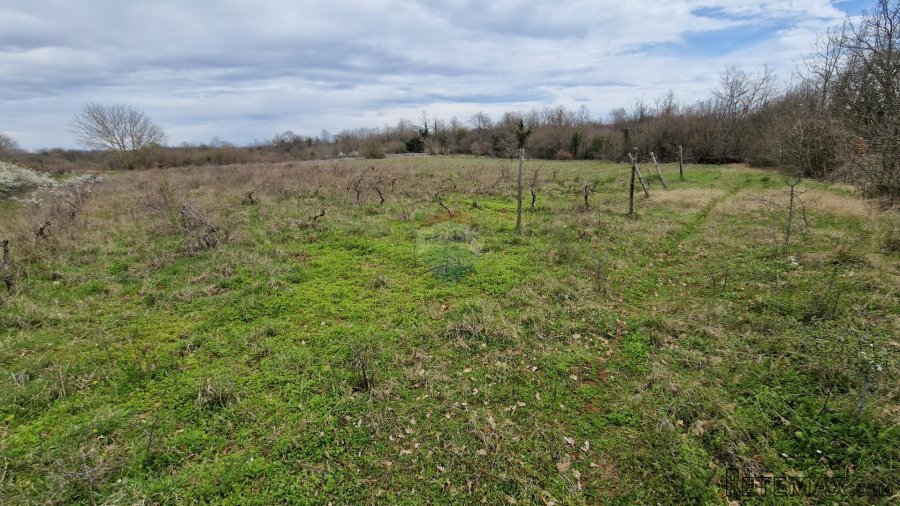Istra, Bokordići, Negrađevinsko Zemljište 5565m2