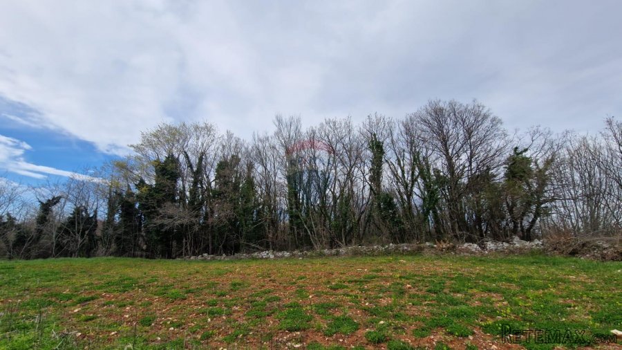 Istra, Bokordići, Negrađevinsko Zemljište 2769m2