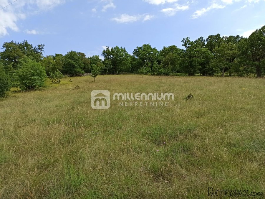 Krasica, zemljište od 7.776m2 - 2
