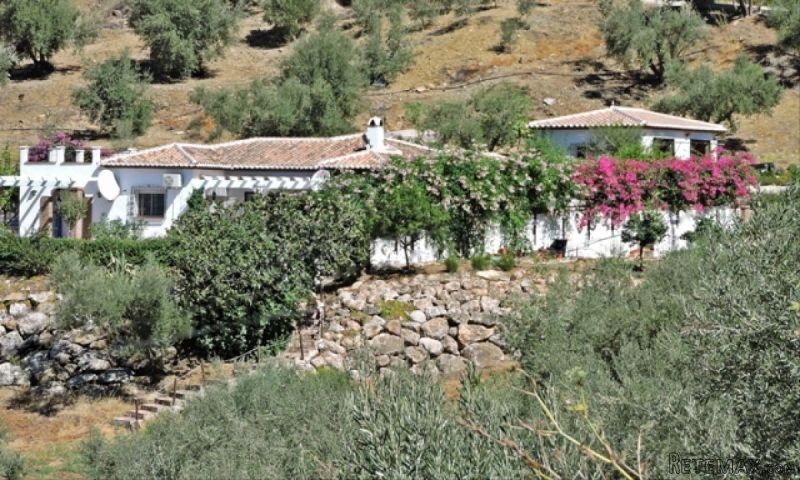 4 bedroom, 4 bathroom Finca/Country..