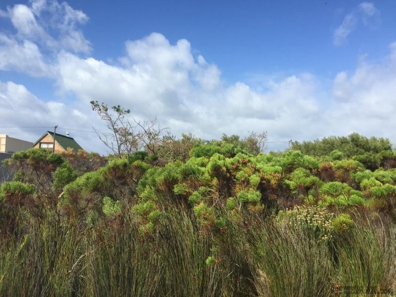 Bettys Bay Vacant Land, Bettys Bay