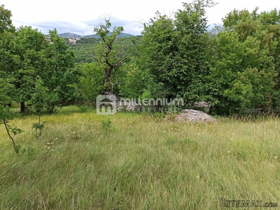 Krasica, zemljište od 7.776m2 - 4