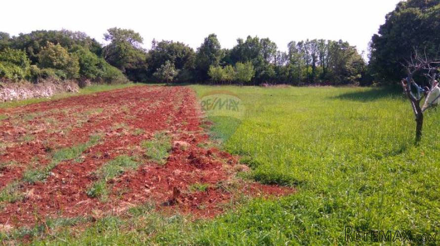 ISTRA,VALTURA- Poljoprivrdno zemljište sa legaliziranim... - 2