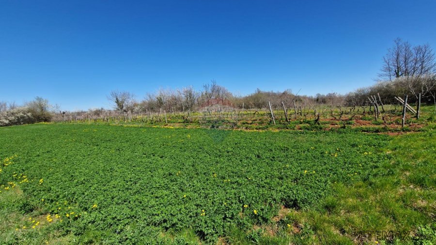Savićenta, Ferlini, Negrađevinsko Zemljište 2305m2