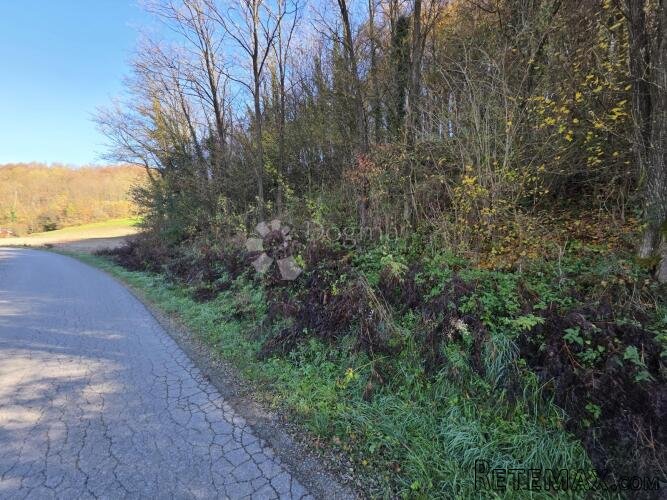 Šuma i pašnjak 7.182m² u Selnu kod Krapinskih Toplica - 2