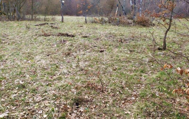 Divljina na vašoj strani – idealna lokacija za lov i potpunu - 3