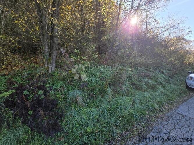 Šuma i pašnjak 7.182m² u Selnu kod Krapinskih Toplica - 3