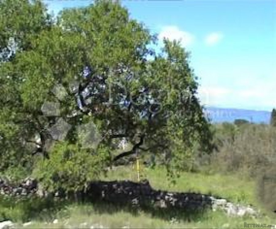 GRAĐEVINSKO ZEMLJIŠTE HVAR - 4