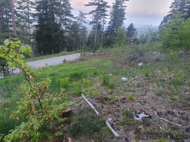 Na prodaju plac na Zlatiboru - 4