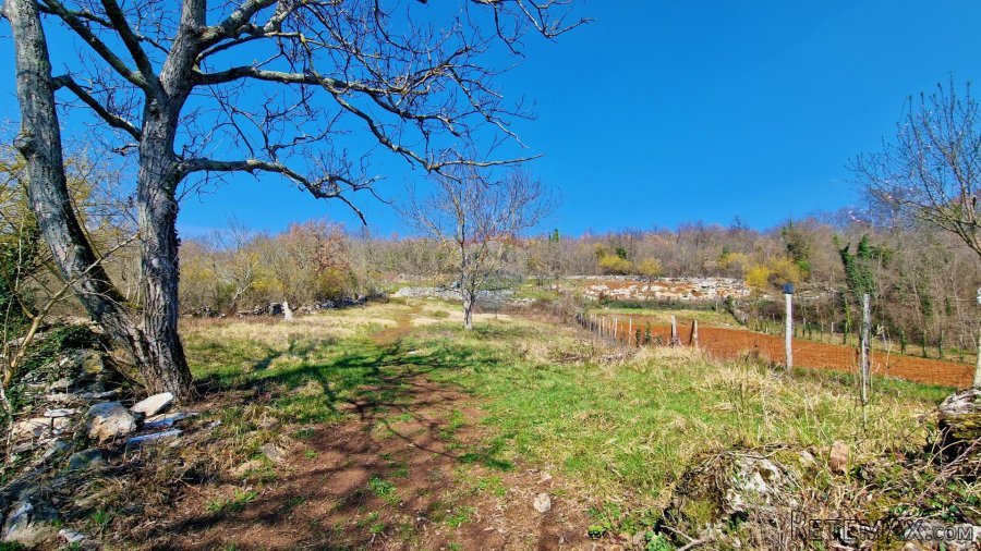 Istra,Grožnjan,okolica-Građevinsko zemljište u mirnom okruže