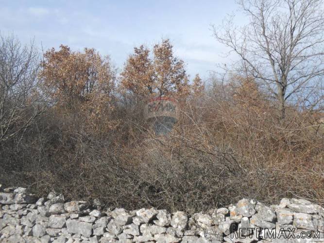 Istra, Vodnjan, Poljoprivredno zemljište u blizini grada - 5