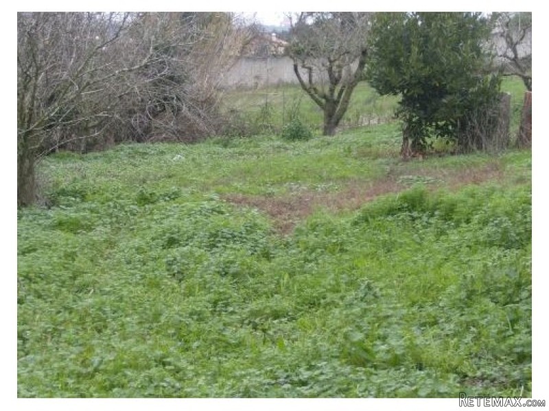 Land , Lourinha - 2
