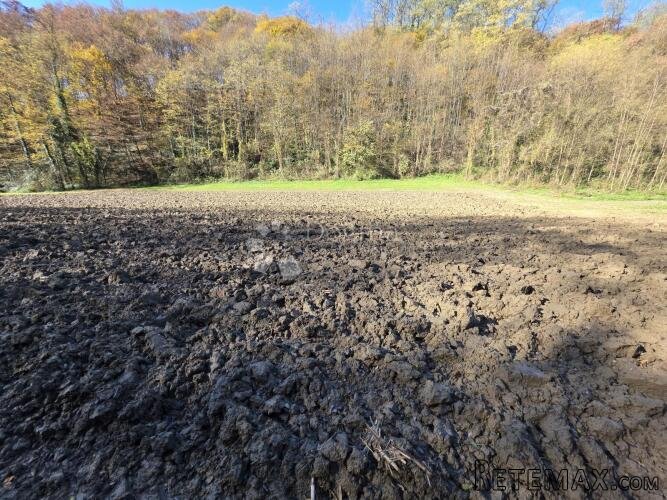 Poljoprivredno zemljište 2.464m² u Selnu kod Krapinskih Topl - 3