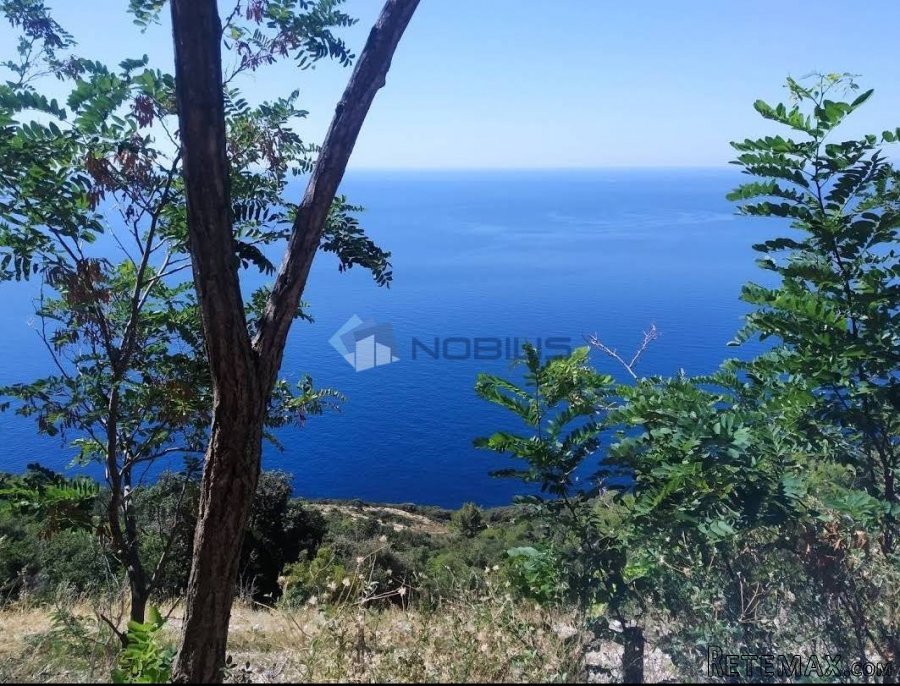 Pelješac, Orebić, Potomje, 8842m2