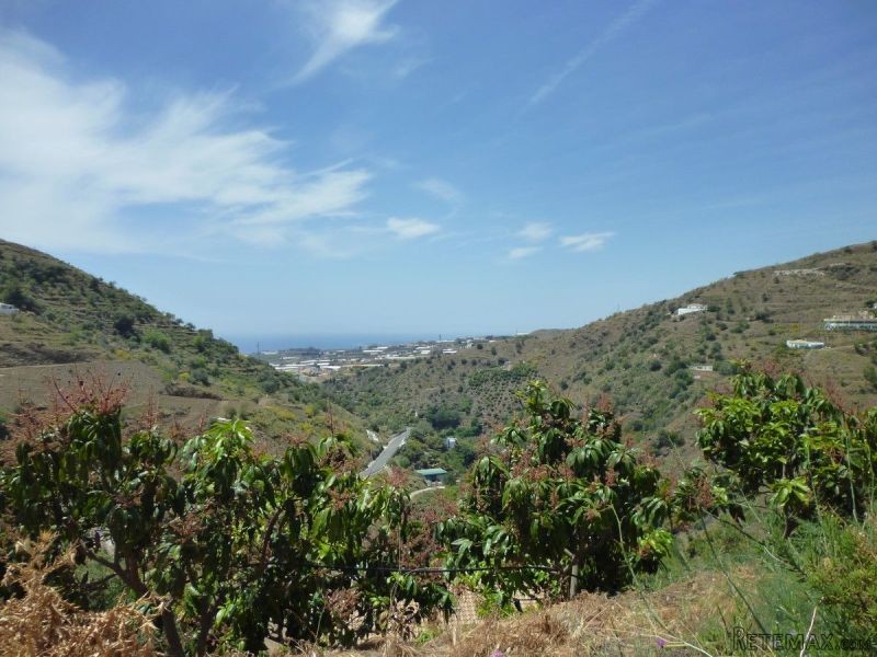 - Country House - Malaga - For Sale - 2