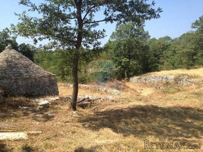 Istra, Kacana, građevinsko i poljoprivredno zemljište sa... - 4