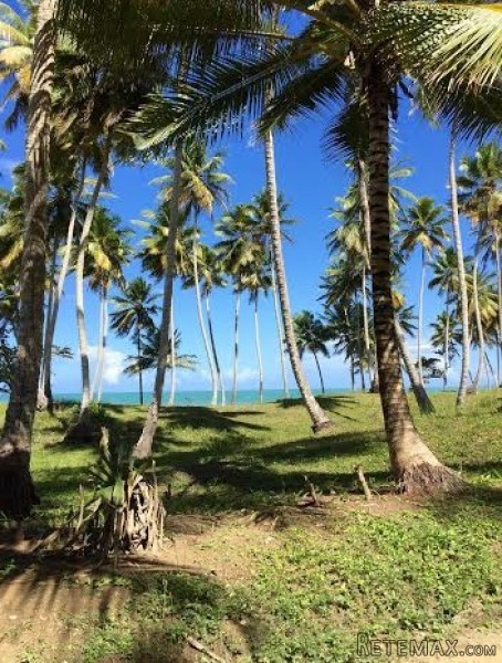 Las Canas Beachfront Lot For Sale