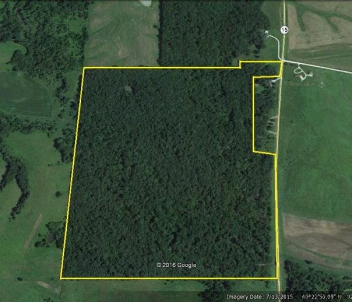 136 +/- Acres Timberland For Sale.. - 2
