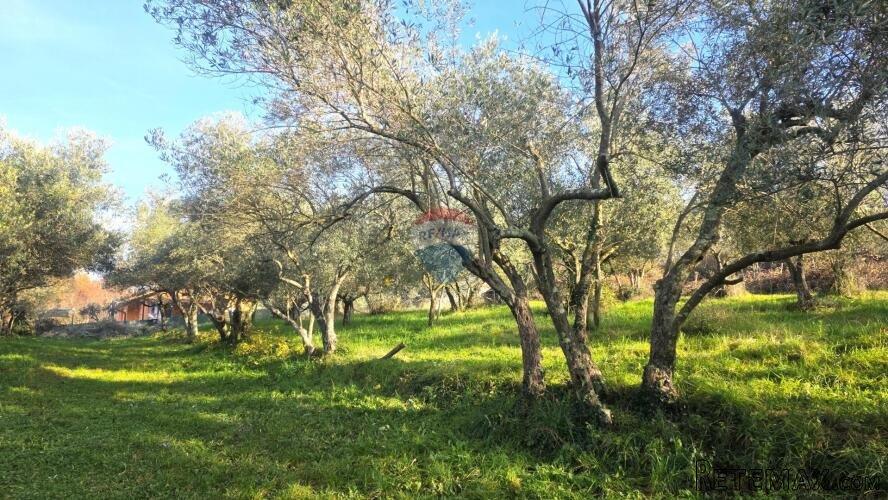 Istra,Lovrečica,okolica-Građevinsko zemljište na rubnom dije - 2