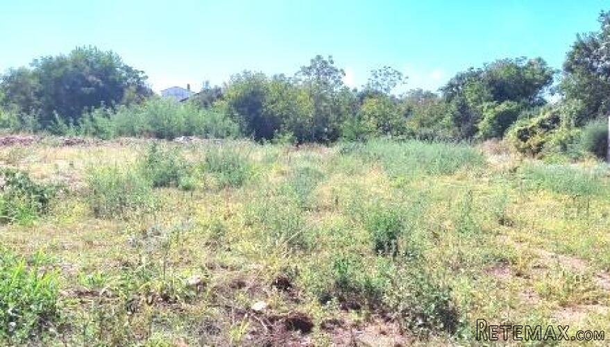 Istra, Umag - građevinsko zemljište s projektom kuće s baze - 2