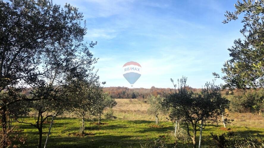 Istra,Lovrečica,okolica-Građevinsko zemljište na rubnom dije - 3