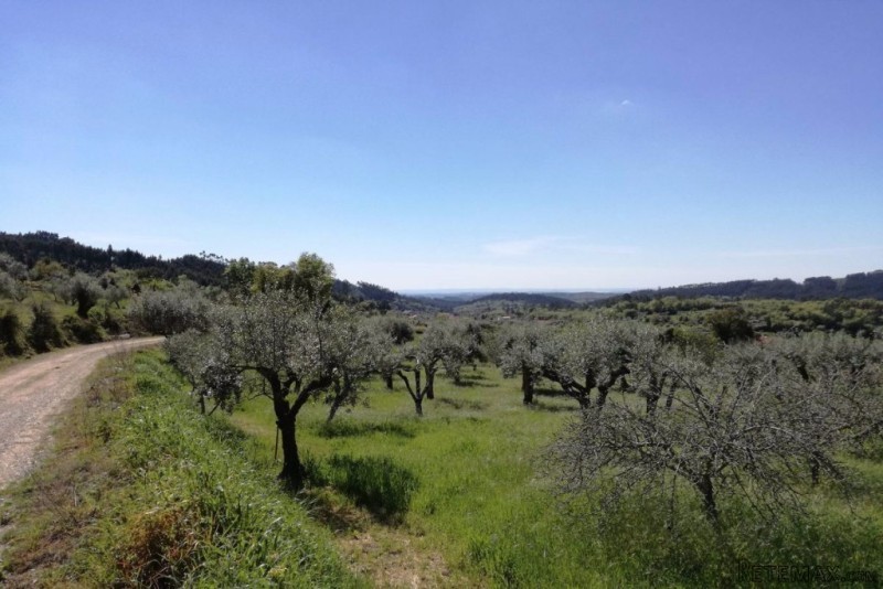 Land Plot With Possibility to Build -.. - 2