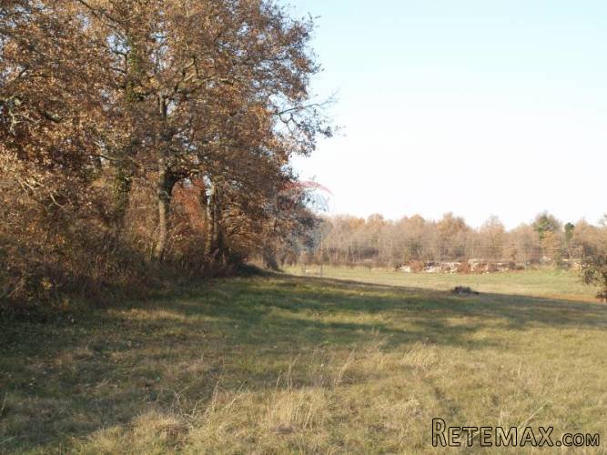 POLJOPRIVREDNO ZEMLJIŠTE U SIPARINI, PORED GOLF IGRALIŠTA... - 2