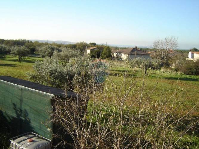 Istra, okolica Vodnjana, velika parcela sa gradjevinskim... - 3