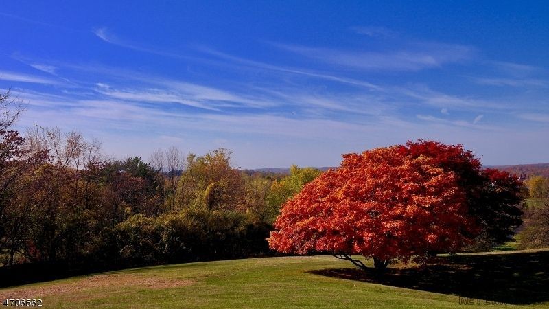 Land For Sale: 44 Prentice Lane