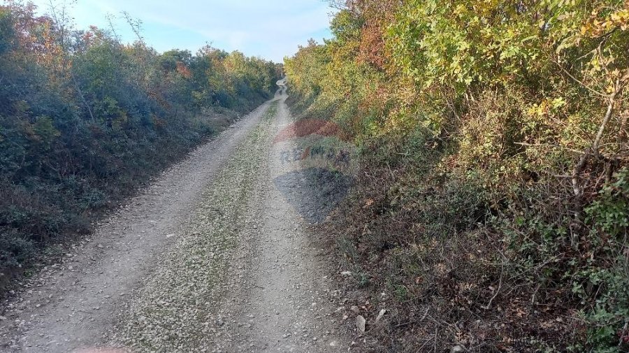 Istra, Fažana okolica, 4 poljoprivredne parcele - 2