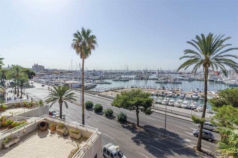 Palma | Mallorca