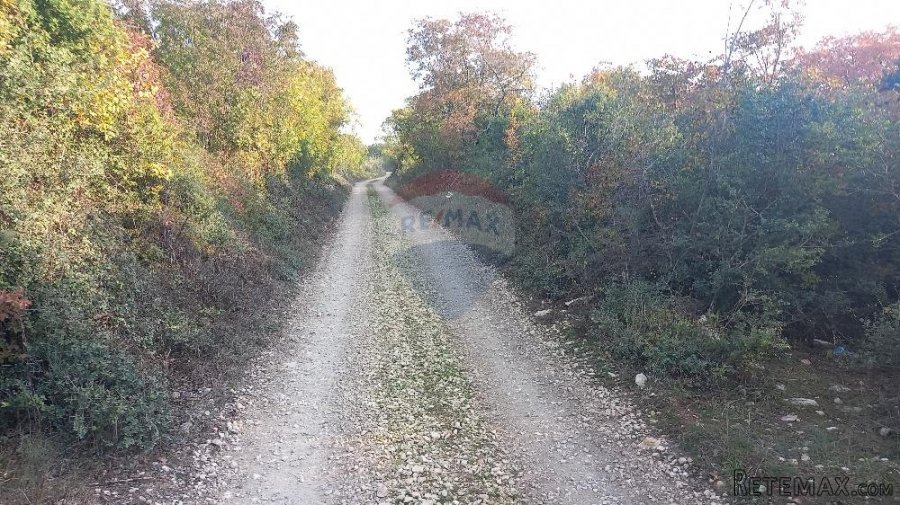 Istra, Fažana okolica, 4 poljoprivredne parcele - 7