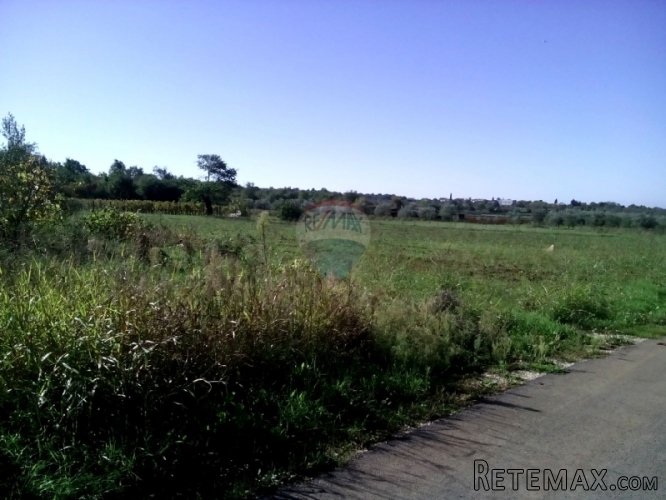 Građevinsko zemljište- Kukci - 3