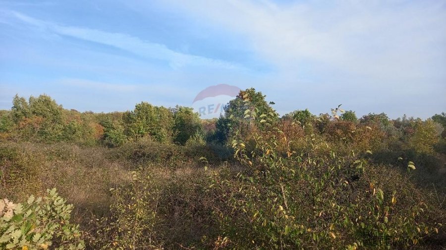Istra, Fažana okolica, 4 poljoprivredne parcele - 8
